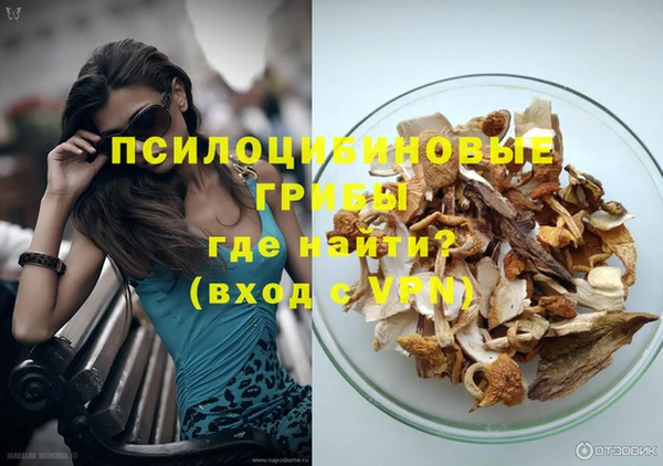 синтетический гашиш Медвежьегорск