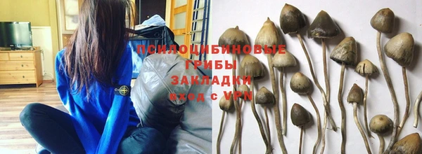 прущая мука Медногорск